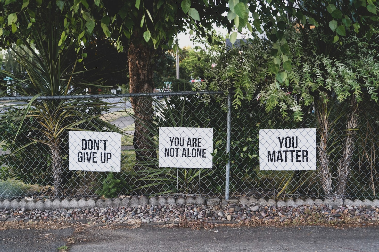 The 20 Steps to Strengthen Your Inner Self