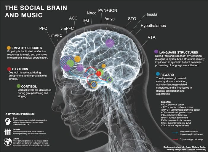 The Neuroscience of Music: Why Your Brain Craves Musical Healing