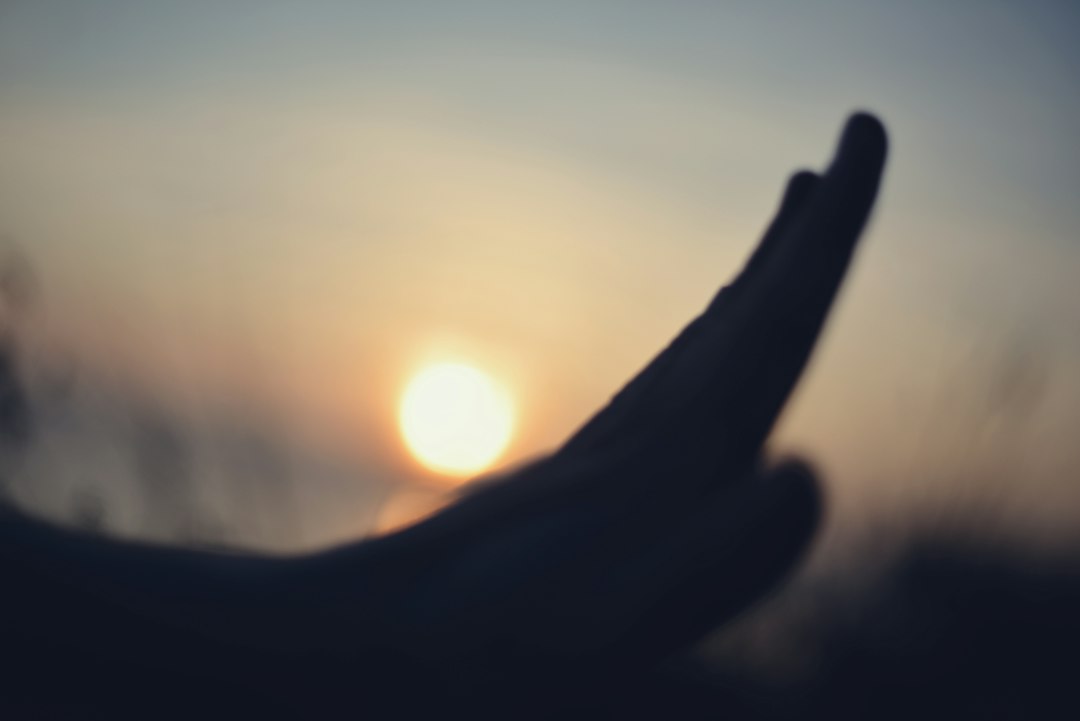 Hand reaching toward sunlight, representing letting go, forgiveness, healing, and emotional freedom